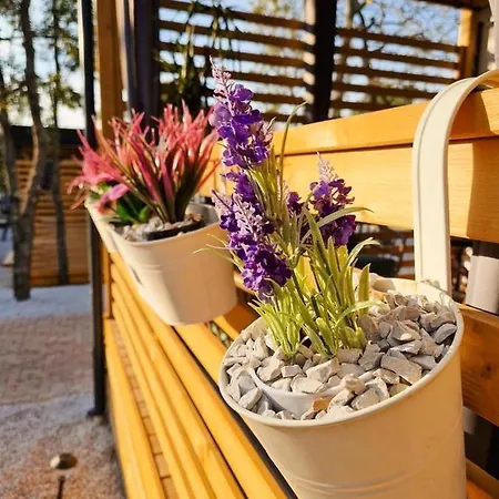 La Mobile Ferienhaus *